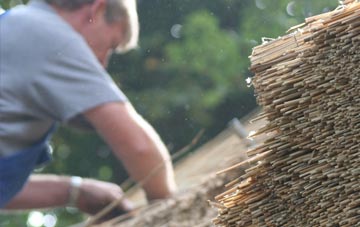 professional Daltote thatchers